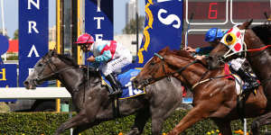 Races on Saturday for Cox Plate Daye will not go ahead will strikes begin.