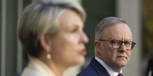 Minister for the Environment and Water Tanya Plibersek and Prime Minister Anthony Albanese during a press conference at Parliament House in Canberra.