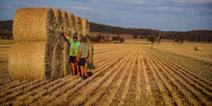 Nuveen owns over 300,000 hectares of cropping farmland in Australia
