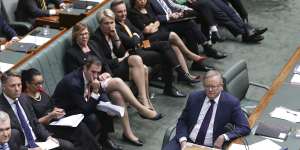 Opposition Leader Anthony Albanese and his frontbench during question time at Parliament House.
