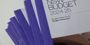 Mookhey said the budget was one of “must-haves” for “difficult economic times”.