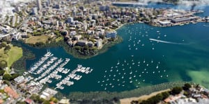An impression provided by Colin Finn of what a rewilded Rushcutters Bay might look like with mangroves,oyster reefs and a naturalised canal.