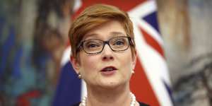 Marise Payne in her joint press conference this week with Chinese Foreign Minister Wang Yi.
