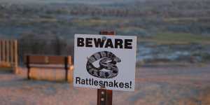 Rattlesnakes flourish in this harsh environment.