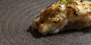 Lightly torched scampi nigiri.