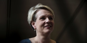 Labor's spokesperson for women,Tanya Plibersek,will release a national strategy for women's reproductive health on Wednesday. 