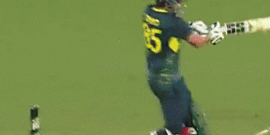 Harry Gill takes one-handed catch while holding his beers at Australia v South Africa T20 match in Darwin.