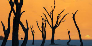 Deadvlei,Namibia:The most photogenic place on Earth,for five minutes a day