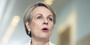 Plibersek prepared to step in if fashion industry doesn’t step up on recycling