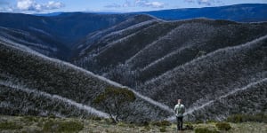 Cam Walker,from Friends of the Earth,at an area near Mount Hotham which has been burnt repeatedly in recent years. 