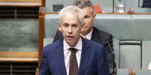 Immigration Minister Andrew Giles said the government would ensure the safety of the Australian community.