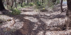 'It's a strange case':Man faces court over violent Bibbulmun Track attack