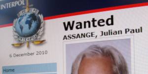 A detail from the Interpol website showing the notice for the arrest of Julian Assange on December 6,2010.