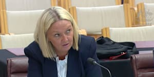 New consumer protections would undermine Jetstar’s ‘existence’:CEO