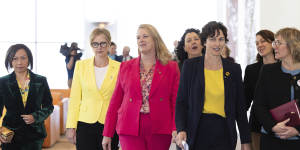 Crossbench MPs Dai Le,Zoe Daniel,Kylea Tink,Monique Ryan,Kate Chaney,Sophie Scamps and Zali Steggall in Canberra in August.
