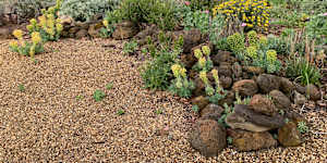 Rock brings textured surfaces and organic shapes