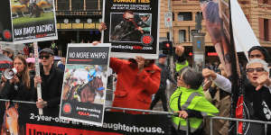 Protesters demonstrate alongside Flinders Street Station during last year’s Melbourne Cup parade.