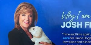 Guide Dogs Victoria chief executive Karen Hayes appeared on Liberal Party pamphlets endorsing Josh Frydenberg.