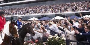 Gold Trip and jockey Mark Zahra soak up the adulation on Melbourne Cup Day last year.