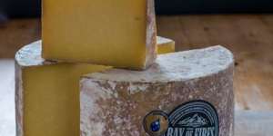 Can't keep up:Australia's best cheddar 2016.