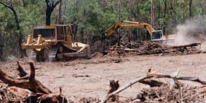 A Queensland parliamentary committee has recommended land clearing laws be passed.