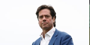 AFL chief executive Gillon McLachlan has consistently said the bid for a team in Tasmania was contingent on a new stadium being built in Hobart.