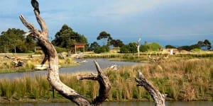 Six reasons to visit Yarram