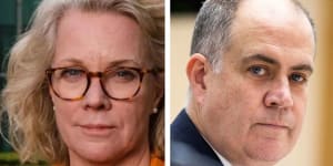 David Anderson is under siege. Laura Tingle says ABC staff are why she backs him