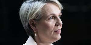 Plibersek accuses Greens of wooing unions at expense of environment