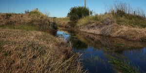 'Appalling':Government won't budge on polluted land buyout