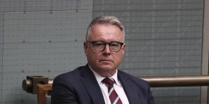 ‘Not just windmills and solar panels’:ALP criticised by Joel Fitzgibbon over party’s climate change policy
