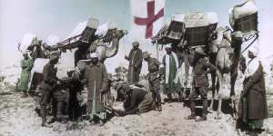 Ambulances of the Imperial Camel Corps at Rafa,Palestine,on February 12,1918.