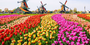 Zaanse Schans Dutch tourist village:Amsterdam's cliche attraction and why it's worth seeing