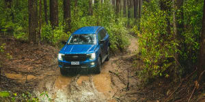 Toolangi is paradise for lovers of adventure and the great outdoors.
