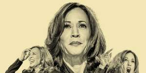 ‘A summer romance’:How the US fell in love with Kamala Harris