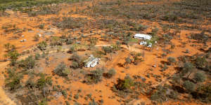 Using mulga forests to save carbon is under fresh scrutiny.