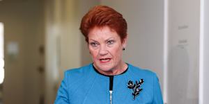 One Nation leader Pauline Hanson has accused Angus Taylor of pilfering her ideas.
