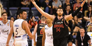 Illawarra Hawks confident NBL can ignite Canberra's basketball passion