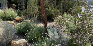 This Melbourne front garden designed by Emmaline Bowman includes a multitude of layers to support a diverse range of wildlife