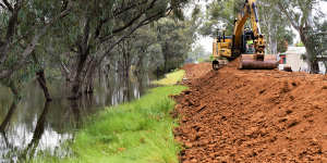 The Campaspe Shire mayor says without the levees,much of the town’s CBD and broader residential areas could be lost.