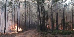 Bush fire closes popular south coast camping spots