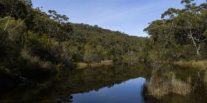 Plan to transfer 10 per cent of NSW to traditional owners within two decades