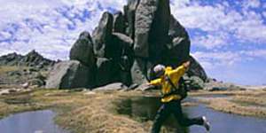 Large parts of Kosciuszko National Park were previously off limits.