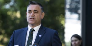 NSW Deputy Premier flags'ring-fencing'NSW-Victoria border towns