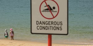 'Red in the water':beachgoers pull La Perouse shark victim onto sand