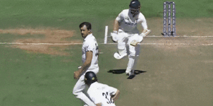 Kane Williamson is run out by Marnus Labuschagne after a collision with Will Young.