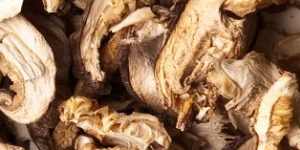 Dried mushrooms add a punch of umami to any dish. 