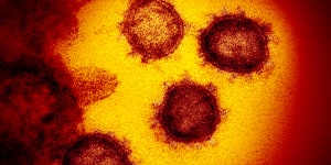 The other diseases the coronavirus lockdown stopped in their tracks