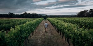 Wine tasting in Margaret River just got a whole lot easier