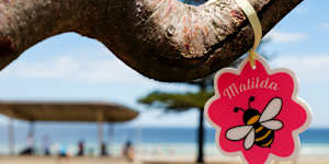 An emblem for Bondi shooting victim Matilda tied on a tree in Bondi Park.